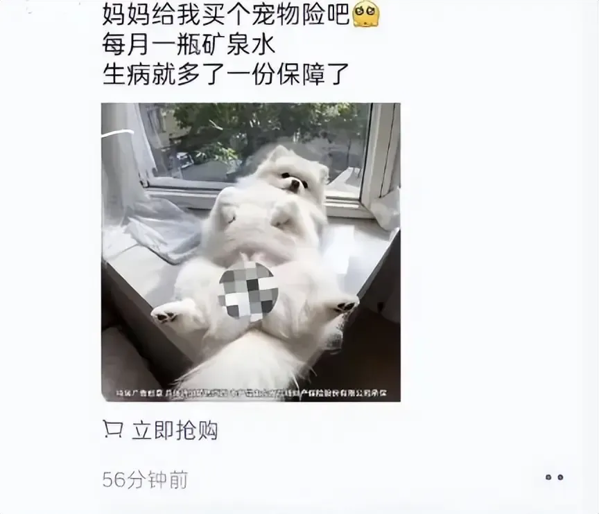 宠物险广告现“女性私密部位”,网友质疑低俗营销,涉事公司回应-综合资讯-第1张